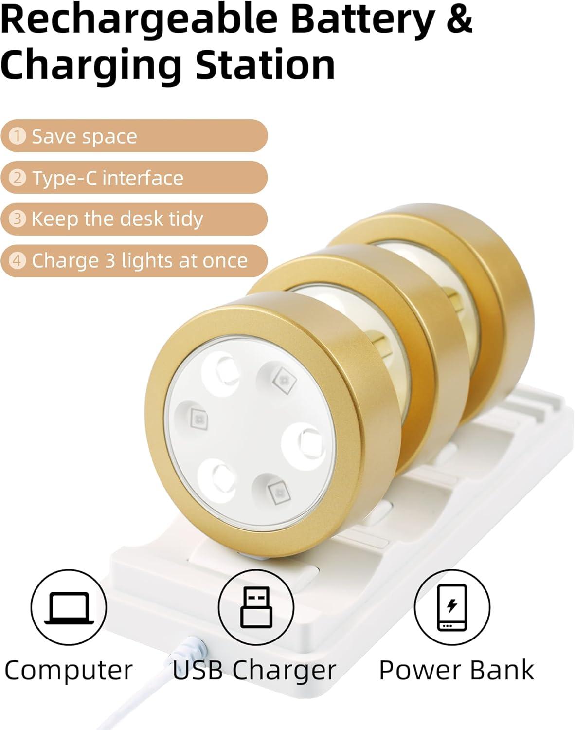 imageEZVALO Picture Lights for Wall 2000mAh Rechargeable Battery Magnetic Poster Lights with 3 Color Temps ampamp 12 RGB Remote Dimmable Timer Painting Light Wall Decor Light for Art Display Frame 6 PackGold