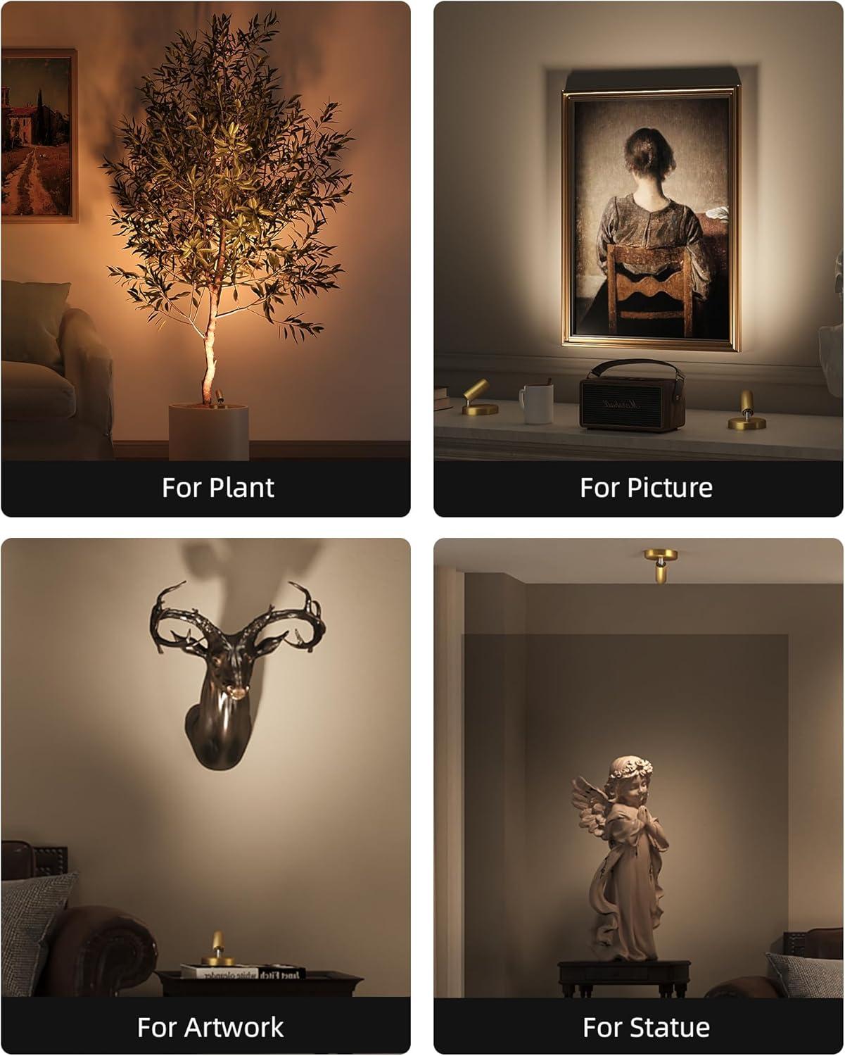 imageEZVALO Spotlights Indoor with Remote 5500mAh Rechargeable Picture Lights Wireless LED Uplighting with TimerDimmable 3CCT Display Lights for Plant Painting Artwork Accent Lighting 2PackBlackGold