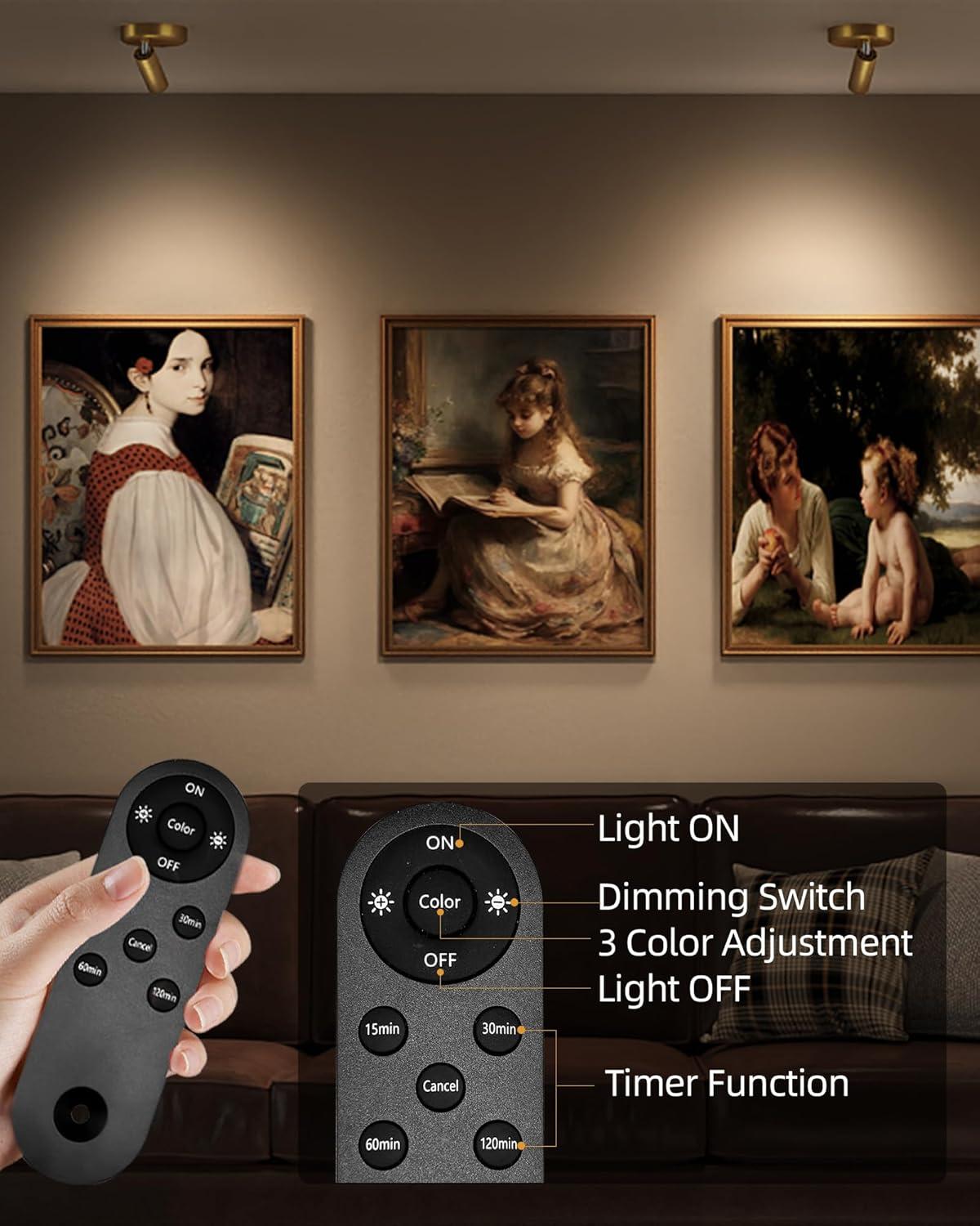 imageEZVALO Spotlights Indoor with Remote 5500mAh Rechargeable Picture Lights Wireless LED Uplighting with TimerDimmable 3CCT Display Lights for Plant Painting Artwork Accent Lighting 2PackBlackGold