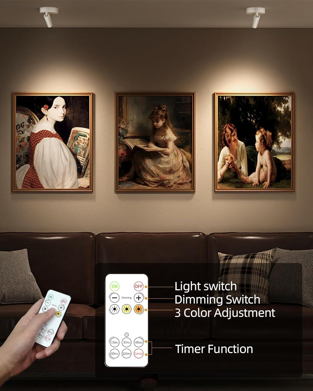 imageEZVALO Spotlights Indoor with Remote 5500mAh Rechargeable Picture Lights Wireless LED Uplighting with TimerDimmable 3CCT Display Lights for Plant Painting Artwork Accent Lighting 2PackBlackWhite