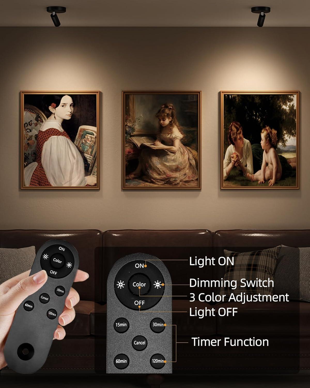 imageEZVALO Spotlights Indoor with Remote 5500mAh Rechargeable Picture Lights Wireless LED Uplighting with TimerDimmable 3CCT Display Lights for Plant Painting Artwork Accent Lighting 2PackBlackBlack