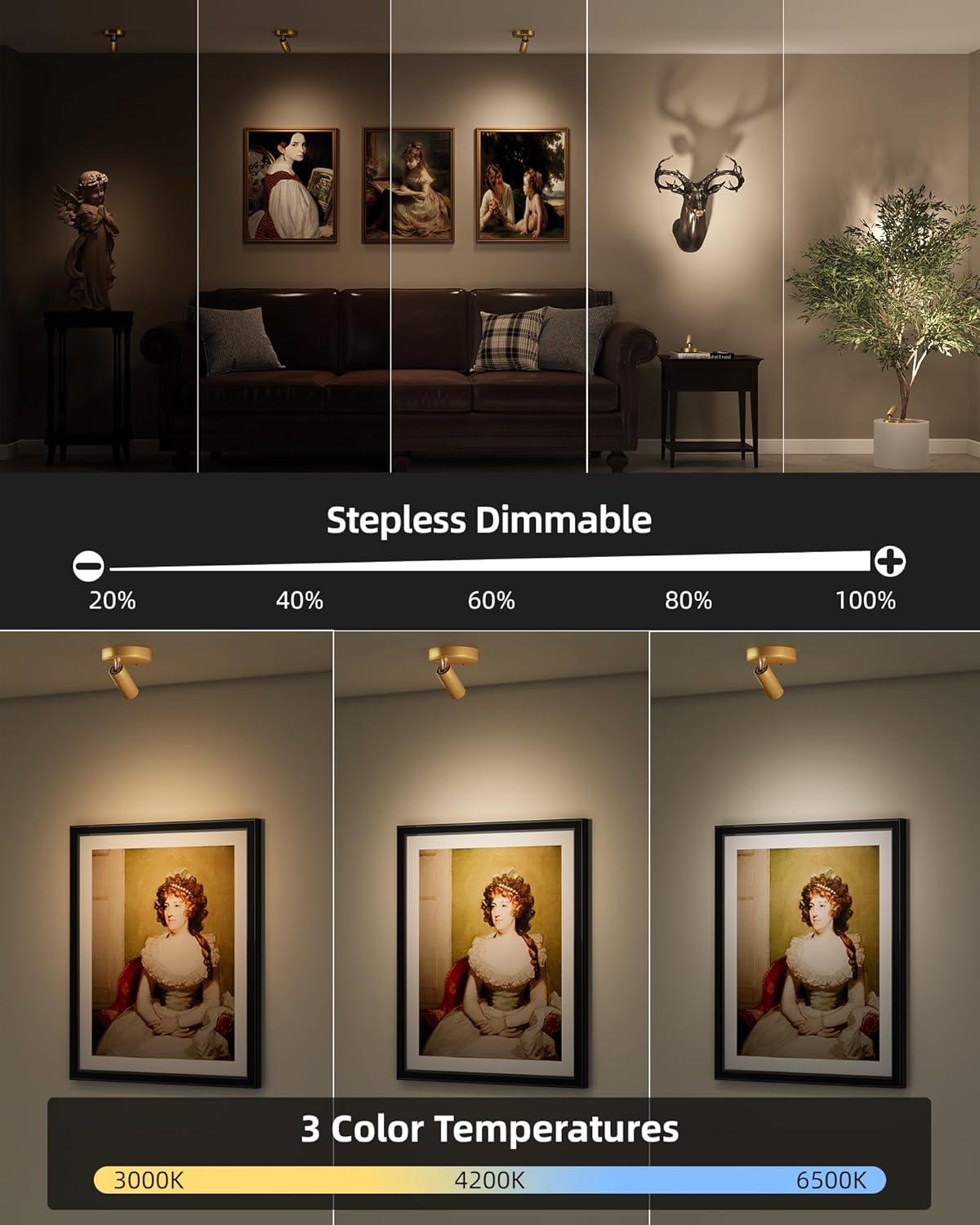 imageEZVALO Spotlights Indoor with Remote 5500mAh Rechargeable Picture Lights Wireless LED Uplighting with TimerDimmable 3CCT Display Lights for Plant Painting Artwork Accent Lighting 2PackBlackGold