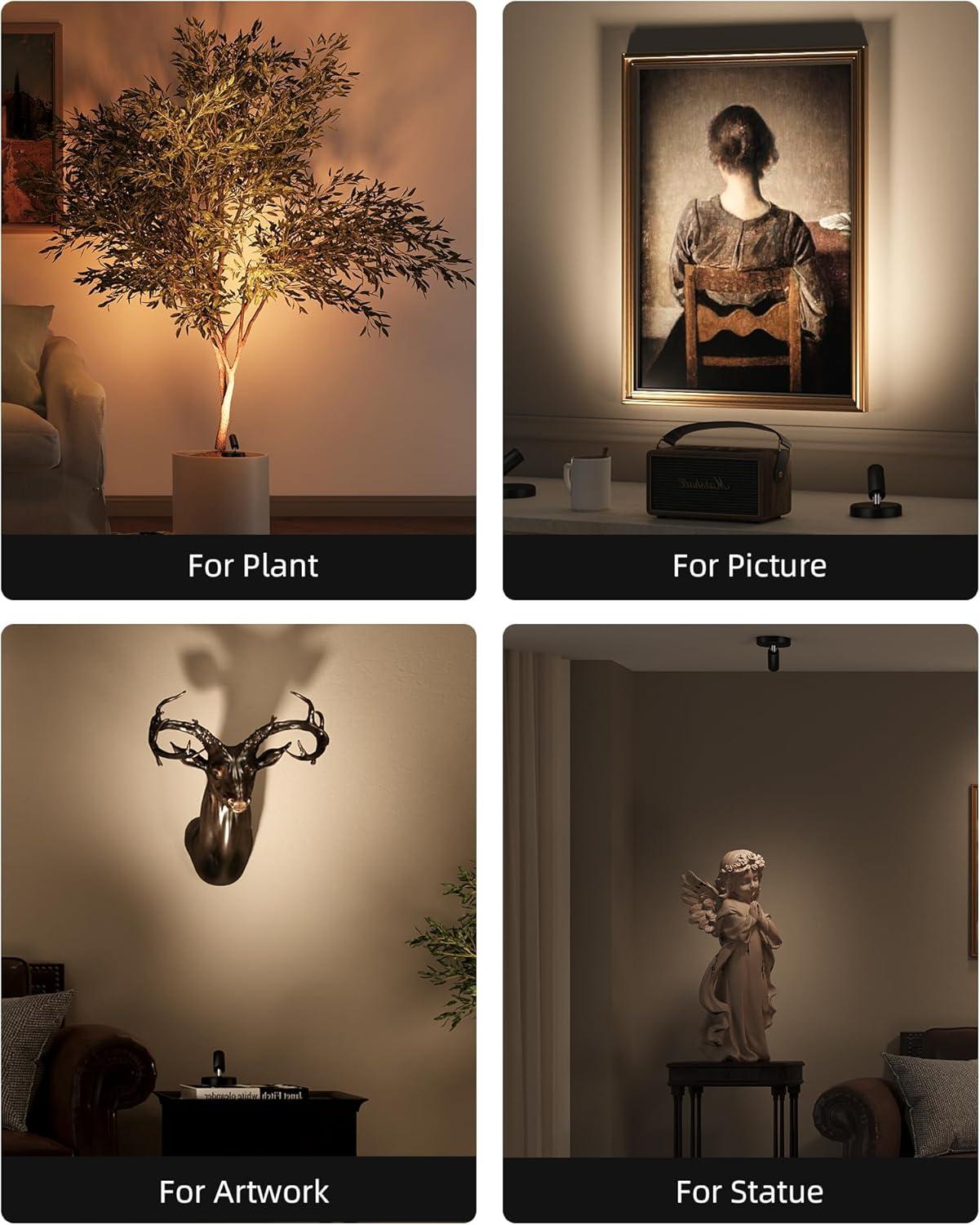 imageEZVALO Spotlights Indoor with Remote 5500mAh Rechargeable Picture Lights Wireless LED Uplighting with TimerDimmable 3CCT Display Lights for Plant Painting Artwork Accent Lighting 2PackBlackBlack