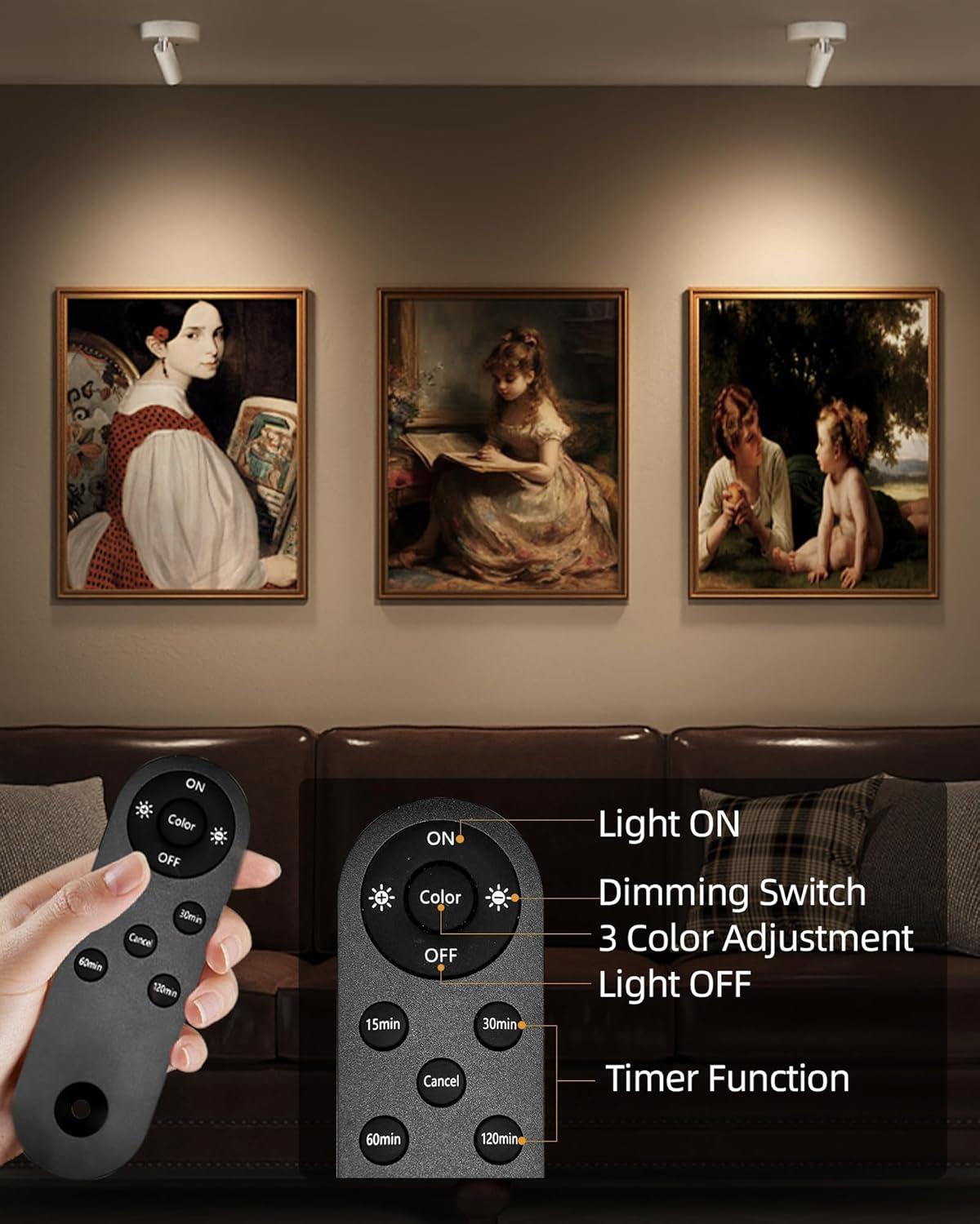 imageEZVALO Spotlights Indoor with Remote 5500mAh Rechargeable Picture Lights Wireless LED Uplighting with TimerDimmable 3CCT Display Lights for Plant Painting Artwork Accent Lighting 2PackBlackWhite