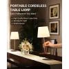 imageEZVALO Outdoor Cordless Table Lamp IP65 Waterproof 4500mAh Rechargeble Shower Lamp Dimmable Touch Lamp LED Night Light Lamp for Bathroom Patio Camping Restaurant Home1 PcsWood Grain