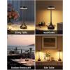imageEZVALO Set of 2 Rechargeable Cordless Table Lamps Portable 6000mAh Outdoor Table Light3 Color ampamp RGB Color Changing Stepless Dimming Waterproof Table Lamp for HomeDinnerPatioRestaurantBarBlack