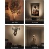 imageEZVALO Spotlights Indoor with Remote 5500mAh Rechargeable Picture Lights Wireless LED Uplighting with TimerDimmable 3CCT Display Lights for Plant Painting Artwork Accent Lighting 2PackBlackGold