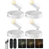 imageEZVALO Spotlights Indoor with Remote 5500mAh Rechargeable Picture Lights Wireless LED Uplighting with TimerDimmable 3CCT Display Lights for Plant Painting Artwork Accent Lighting 2PackBlackWhite