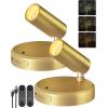imageEZVALO Spotlights Indoor with Remote 5500mAh Rechargeable Picture Lights Wireless LED Uplighting with TimerDimmable 3CCT Display Lights for Plant Painting Artwork Accent Lighting 2PackBlackGold