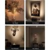 imageEZVALO Spotlights Indoor with Remote 5500mAh Rechargeable Picture Lights Wireless LED Uplighting with TimerDimmable 3CCT Display Lights for Plant Painting Artwork Accent Lighting 2PackBlackWhite