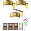 imageEZVALO Picture Lights for Wall 2000mAh Rechargeable Battery Magnetic Poster Lights with 3 Color Temps ampamp 12 RGB Remote Dimmable Timer Painting Light Wall Decor Light for Art Display Frame 6 PackGold