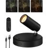 imageEZVALO Spotlights Indoor with Remote 5500mAh Rechargeable Picture Lights Wireless LED Uplighting with TimerDimmable 3CCT Display Lights for Plant Painting Artwork Accent Lighting 2PackBlackBlack
