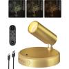 imageEZVALO Spotlights Indoor with Remote 5500mAh Rechargeable Picture Lights Wireless LED Uplighting with TimerDimmable 3CCT Display Lights for Plant Painting Artwork Accent Lighting 2PackBlackGold